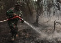Pakar IPB Ungkap Tantangan Pemadaman Karhutla Gambut