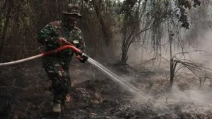 Pakar IPB Ungkap Tantangan Pemadaman Karhutla Gambut