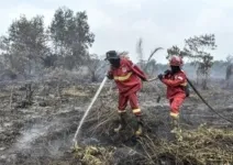 Karhutla Melanda 6 Provinsi, BMKG Gencarkan Modifikasi Cuaca