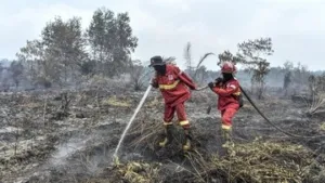 Karhutla Melanda 6 Provinsi, BMKG Gencarkan Modifikasi Cuaca