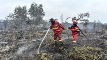 Karhutla Melanda 6 Provinsi, BMKG Gencarkan Modifikasi Cuaca