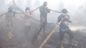 Sisa 2 Titik Panas, 283 Personel Gabungan Dinginkan Karhutla Kampar