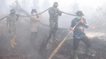 Sisa 2 Titik Panas, 283 Personel Gabungan Dinginkan Karhutla Kampar