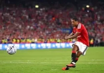 Teddy Sheringham Sebut Youri Tielemans Cuma Pemain Level Lumayan
