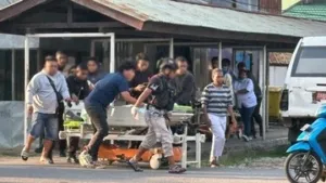 3 Pegawai Pemkab Jayawijaya Tewas Ditembak KKB saat Tinjau Pertanian