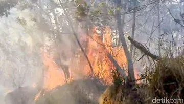 Kebakaran Cagar Alam Merapi Ungup-ungup, Wisata Kawah Ijen Ditutup