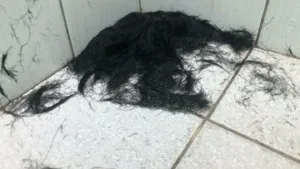 Tantangan Menghadapi Teman Ngekos yang Jorok dan Ceroboh