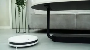Buktikan Istri Selingkuh Pakai Robot Penyedot Debu, Pria Ini Dipenjara