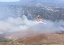 Kebakaran Hutan Melanda Dekat Costa del Sol Spanyol, 3 Orang Terluka